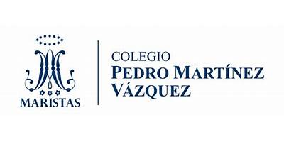 PEDRO MARTINEZ VAZQUEZ