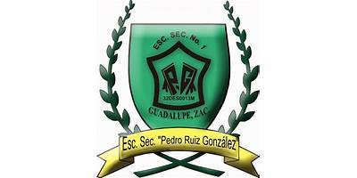 PEDRO RUIZ GONZALEZ