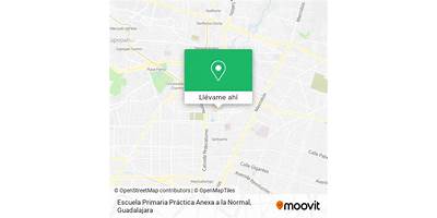 PRACTICA ANEXA A LA NORMAL