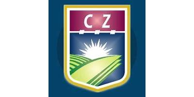 PRIMARIA COLEGIO ZUMARRAGA