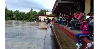 PRIMARIA COMUNITARIA ESTACION DE CURUMEO (EL CERRITO)