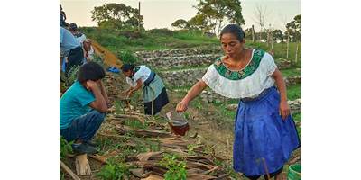 PRIMARIA COMUNITARIA ESTADO DE PUEBLA