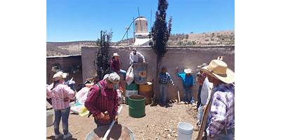 PRIMARIA COMUNITARIA LA NANA