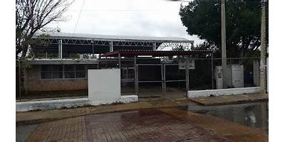 PRIMARIA COMUNITARIA REGULAR
