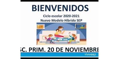 PRIMARIA ESTATAL