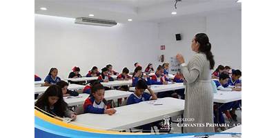 PRIMARIA U 243