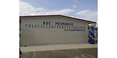 PRISCILIANO PERAZA CHAGOYA
