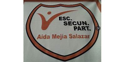 PROFA. AIDA MEJIA SALAZAR DE GOMEZ
