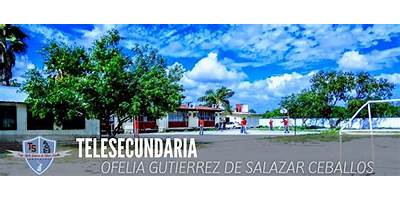 PROFA. OFELIA GUTIERREZ DE SALAZAR CEBALLOS
