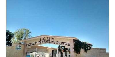 PROFA. PETRA ANDRADE SALMERON