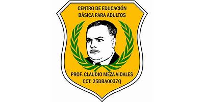 PROFESOR CLAUDIO MEZA VIDALES