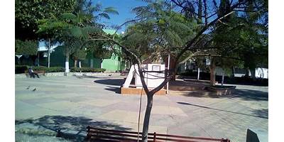 PROFESOR  MANUEL VALDERRAMA