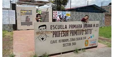 PROFESOR PRIMITIVO SOTO