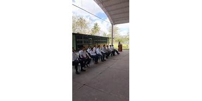 PROFR. JOSÉ LUIS CASTILLO OLIVE