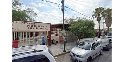PROFRA. PERLA AURORA TREVIÑO TAMEZ