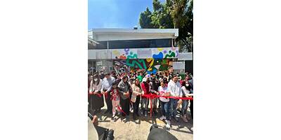 REHABILITACION D.I.F