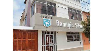 REMIGIO SILVA JIMENEZ