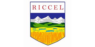 RICCEL COLEGIO DE EDUCACION INTEGRAL