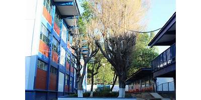 SALVADOR BARRAGAN CAMACHO
