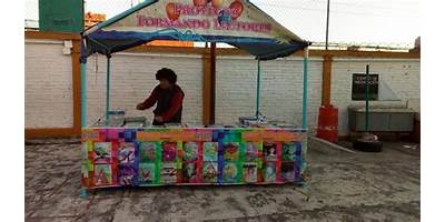 SALVADOR NAVA MARTINEZ