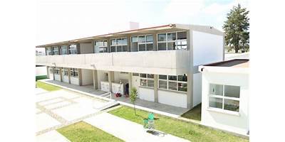 SALVADOR NOVO