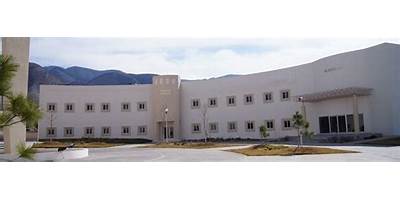 SECCION 38