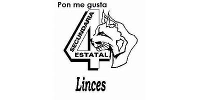 SECUNDARIA ESTATAL 3004 JUAN ALANIS
