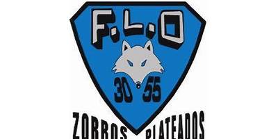 SECUNDARIA ESTATAL 3055 FRANCISCA LOZANO OLIVAS