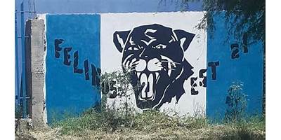 SECUNDARIA TECNICA 21