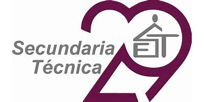 SECUNDARIA TECNICA 29