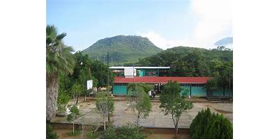 SECUNDARIA TECNICA 87