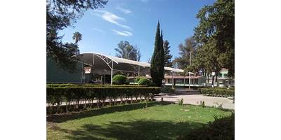 SECUNDARIA TECNICA AGROPECUARIA NUM. 115