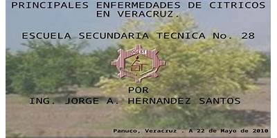 SECUNDARIA TECNICA AGROPECUARIA NUM. 53