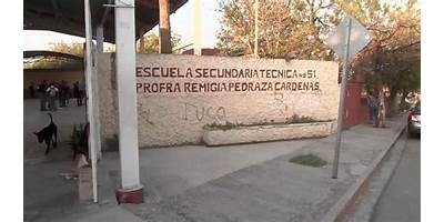 SECUNDARIA TECNICA NUM. 51 PROFRA. REMIGIA PEDRAZA CARDENAS