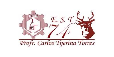 SECUNDARIA TECNICA NUM. 74 CARLOS TIJERINA TORRES