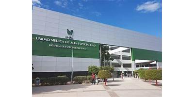 SEGURO SOCIAL B