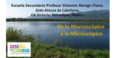 SILVESTRE ABREGO FLORES