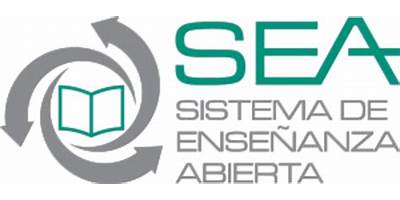 SISTEMAS ABIERTOS DE ENSEÑANZA NIVEL PRIMARIA