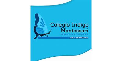 TALLER MONTESSORI INDIGO