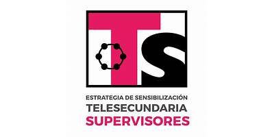 TELESECUNDARIA 154