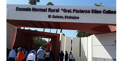 TELESECUNDARIA 342