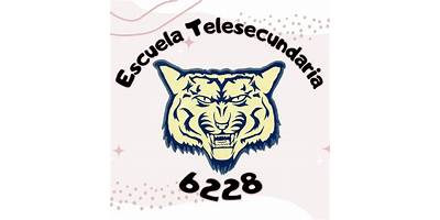 TELESECUNDARIA 6228