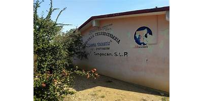 TELESECUNDARIA 703 LEONA VICARIO
