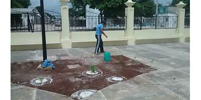 TELESECUNDARIA NUM 123