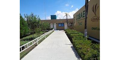 TELESECUNDARIA NUM. 166