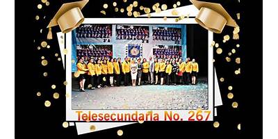 TELESECUNDARIA NUM. 267