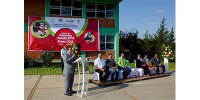 TELESECUNDARIA NUM. 295