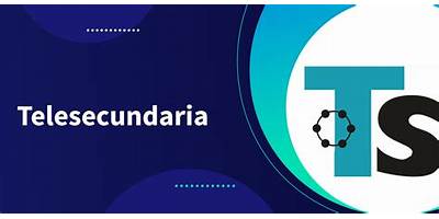 TELESECUNDARIA NUM. 333