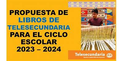 TELESECUNDARIA NUM. 336
