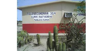TELESECUNDARIA NUM. 354